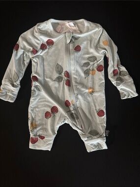 Baby Zip-Front Raspberry Print One-Piece in Light Blue